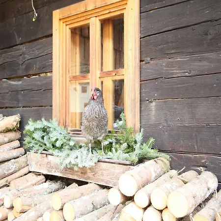 Mansion In Eben Near Salzburger Area, Cleaning Included * Eben Im Pongau