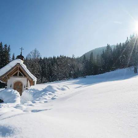 Mansion In Eben Near Salzburger Area, Cleaning Included * Eben Im Pongau