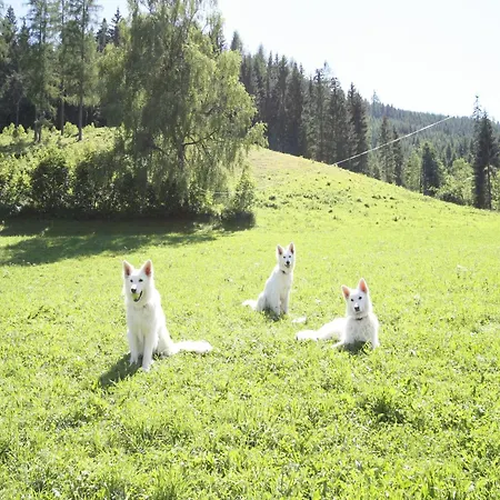 Nyaraló Near The Area In Salzburg, Cleaning Included Eben im Pongau